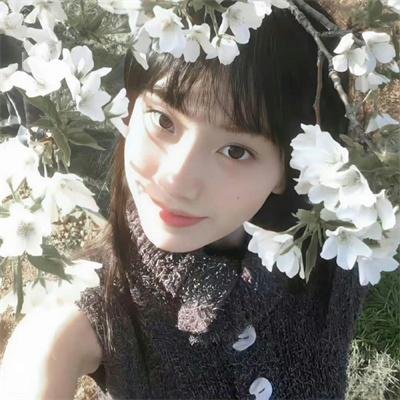 与你舞动的夏天